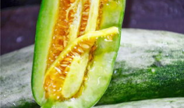 吃瓜都是哪个网红,揭秘吃瓜网红背后的故事