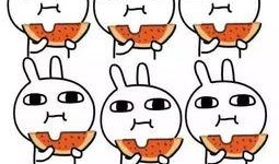 吃瓜百度贴吧官网,网络热议的聚集地