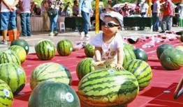 每日大赛在线吃瓜入口,在线吃瓜入口，揭秘精彩瞬间