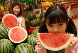 吃瓜网免费官网全球,全球热点一网打尽，畅享无界限的娱乐盛宴