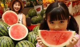 吃瓜网免费官网全球,全球热点一网打尽，畅享无界限的娱乐盛宴