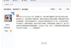 吃瓜百度贴吧官网,网络热议的聚集地