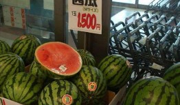 吃瓜网免费官网全球,全球热点一网打尽，畅享无界限的娱乐盛宴