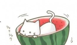 吃瓜群众图片可爱头像动漫,动漫风吃瓜群众头像大揭秘