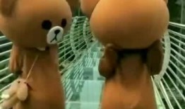 吃瓜小熊网红视频下载,揭秘幕后制作与热门话题