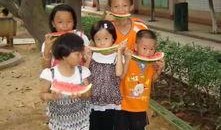 朝阳观众吃瓜网,揭秘娱乐圈幕后故事，带你领略明星真实生活