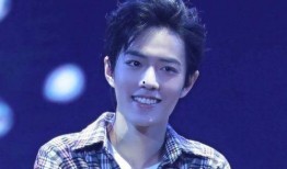 娱乐圈吃瓜成毅是谁主演