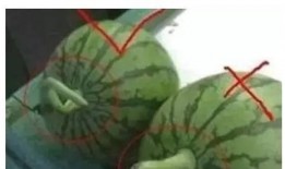 为什么吃瓜网打不开