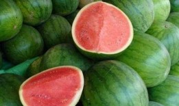 吃瓜 怎么回答,吃瓜群众的视角