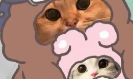 吃瓜猫情头网头,趣味横生的情侣头像盛宴