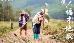 恩平网红吃瓜群众,揭秘网络红人的幕后故事