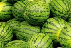 每日大赛在线吃瓜入口,在线吃瓜入口，揭秘精彩瞬间