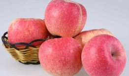 51吃瓜官网苹果,揭秘娱乐圈最新动态，畅享轻松娱乐时光