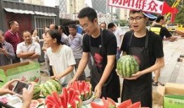 吃瓜网朝阳群众,揭秘吃瓜网背后的神秘力量