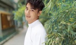 娱乐圈吃瓜酱什么是爱情,吃瓜酱眼中的爱情真谛