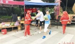 吃瓜网热心市民