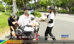 吃瓜网热心市民