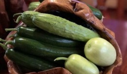 网红打架吃瓜,一场打架风波背后的吃瓜盛宴