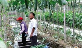 吃瓜的社区网,网络舆论场中的“瓜田”盛景