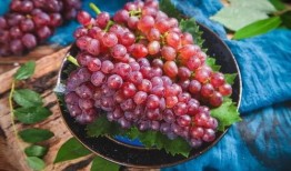 网红吃葡萄瓜视频大全