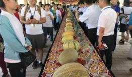 朝阳观众吃瓜网,揭秘娱乐圈幕后故事，带你领略明星真实生活