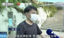 网红皮卡邱吃瓜视频,揭秘网红圈幕后故事