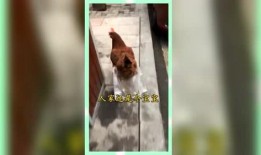 怎么屏蔽娱乐吃瓜群众,巧妙屏蔽娱乐吃瓜群众的实用指南