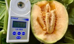 网传的吃瓜合集,盘点娱乐圈那些年我们追过的热点事件