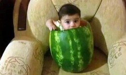 网红视频吃瓜藏族,吃瓜藏族背后的文化魅力