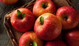 51吃瓜官网苹果,揭秘娱乐圈最新动态，畅享轻松娱乐时光